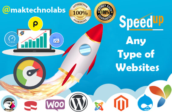 Gig Preview - Superfast speed optimize wordpress or any type of websites