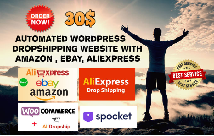 Gig Preview - Create wordpress alidropship aliexpress dropshipping store