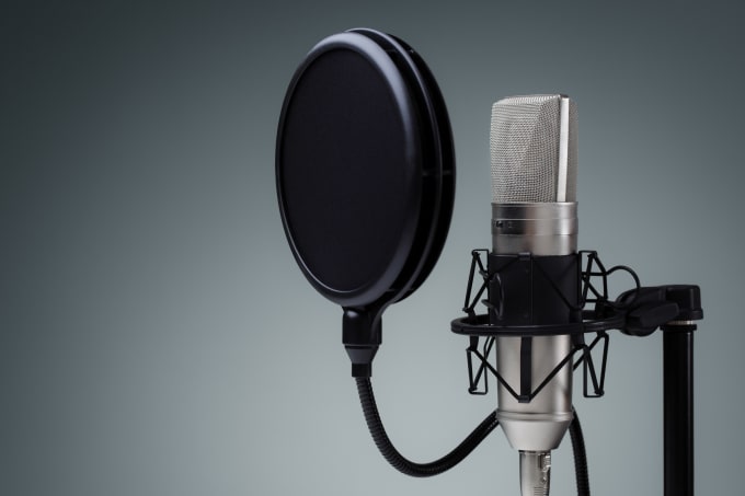 Gig Preview - Record a professional male voiceover