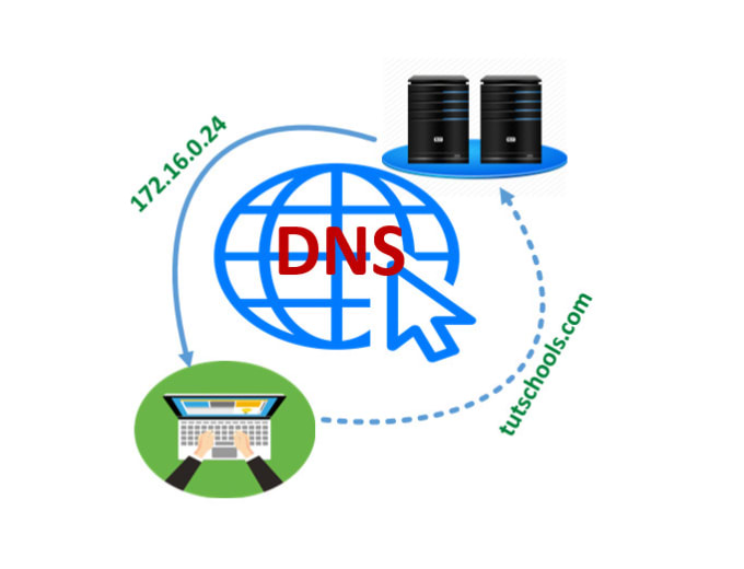 Gig Preview - Setup and configure dns server for your website or network