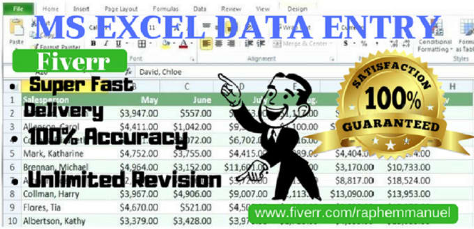 Gig Preview - Do excel data entry