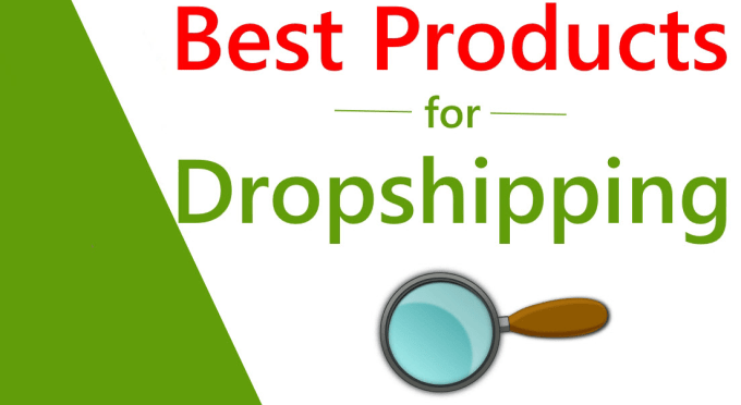 Gig Preview - Create shopify aliexpress dropshipping store