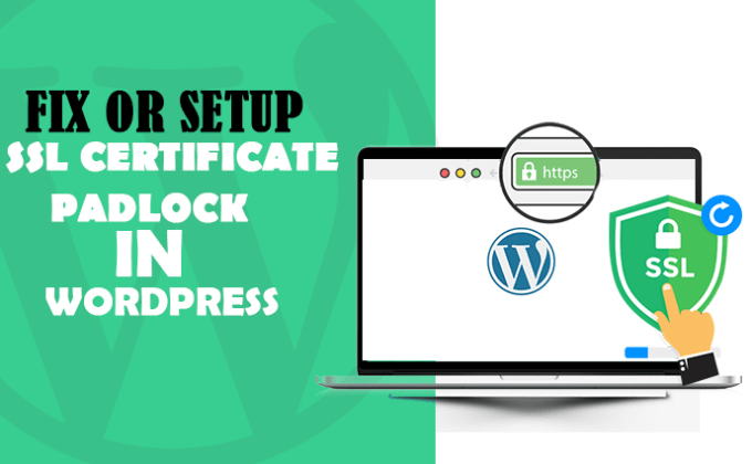 Gig Preview - Fix or setup  SSL certificate padlock in wordpress