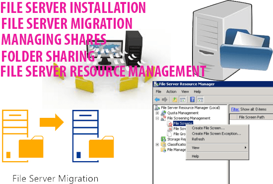 Bestseller - provide expert services for windows file servers