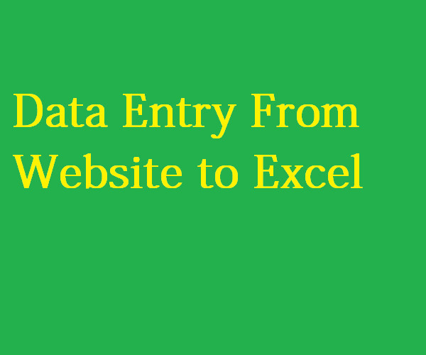 Gig Preview - Do data entry or webscraping from website to excel