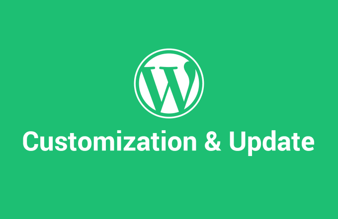 Gig Preview - Do customization or update your wordpress website