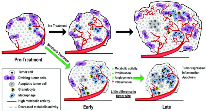 Gig Preview - Write reports and articles related to cancer and biology