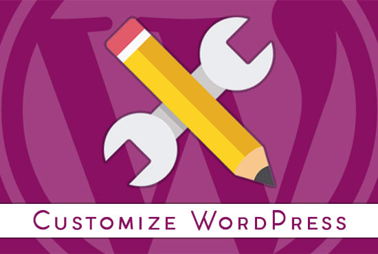 Gig Preview - Quickly customize wordpress website