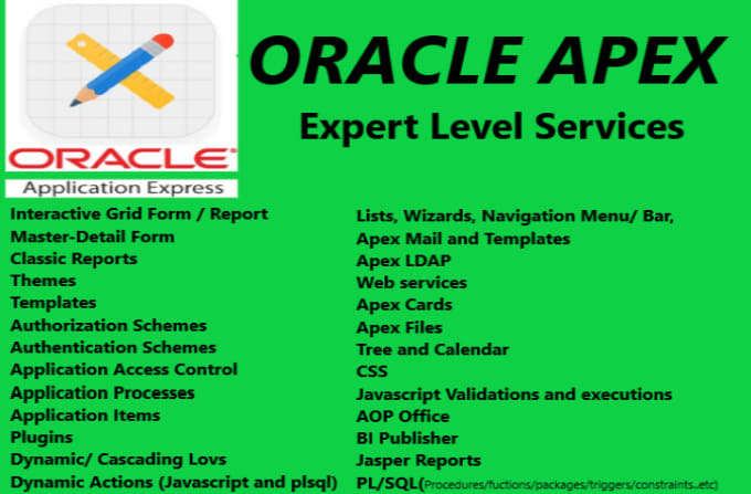 Gig Preview - Do expert level project in oracle apex with database design