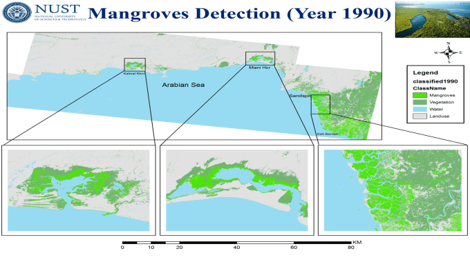 Gig Preview - Do vegetation cover mapping using rs