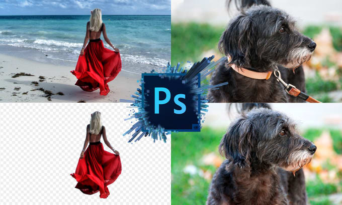 Gig Preview - Photoshop your pictures realistically in 1 hour