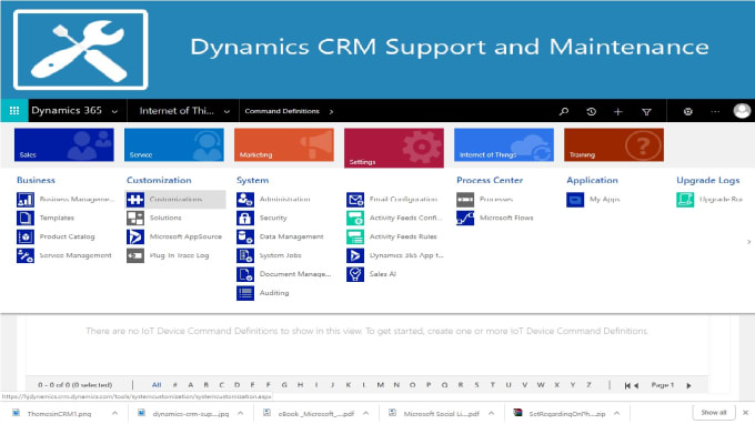 Gig Preview - Provide you dynamics CRM support