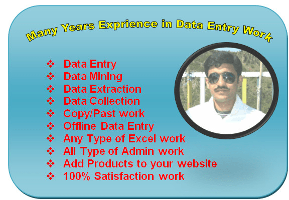 Bestseller - do data entry and data analysis