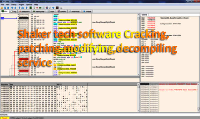 Gig Preview - Decompile, crack, and modify software programs efficiently