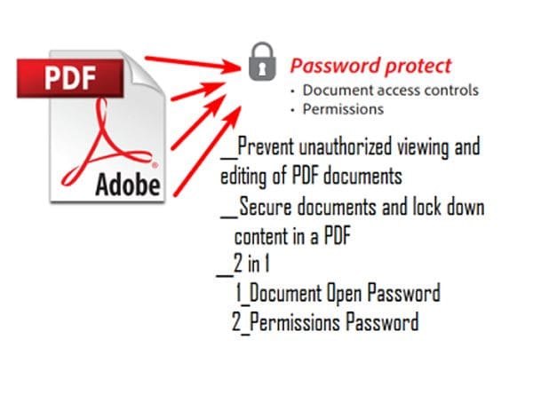 Gig Preview - Protect your PDF files