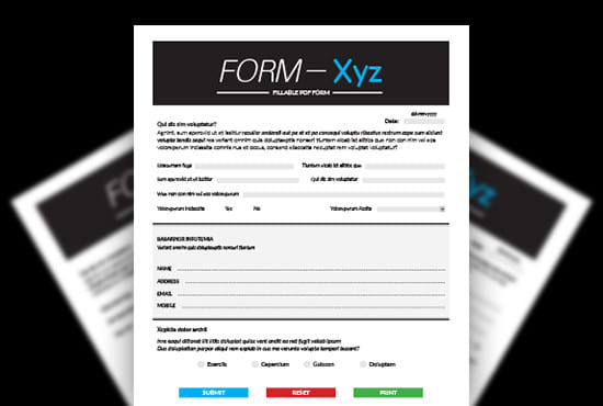 Gig Preview - Create fillable pdf form