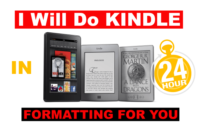 Gig Preview - Format and convert your word document to kindle in 1 day