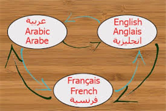 Gig Preview - Translate your works to arabic, english, french language