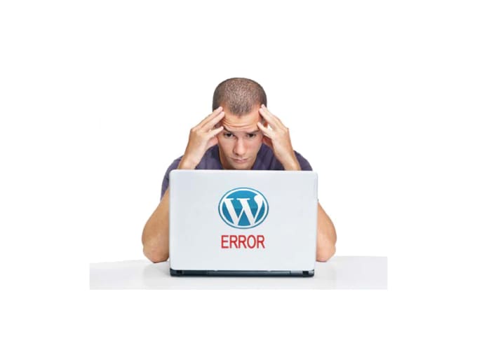 Gig Preview - Fix wordpress errors, issues and customization