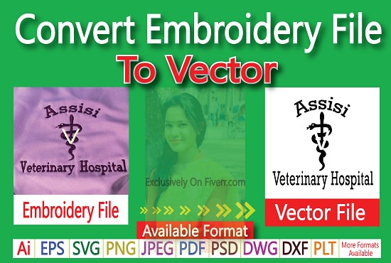 Gig Preview - Convert embroidery file to vector