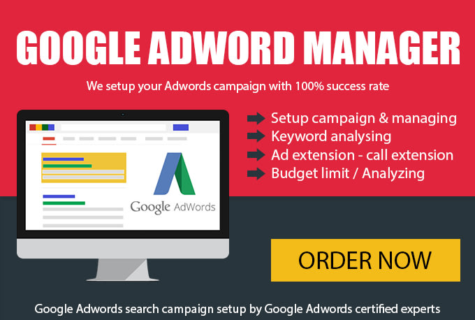 Gig Preview - Manage your google adwords search and shopping campaigns