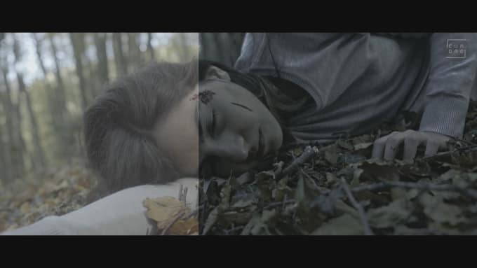 Gig Preview - Do color grading like a movie