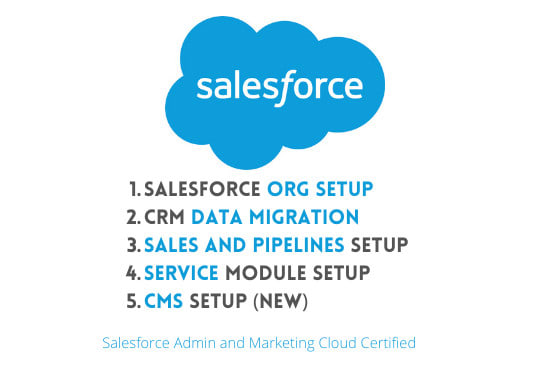 Gig Preview - Setup salesforce CRM for sales and service