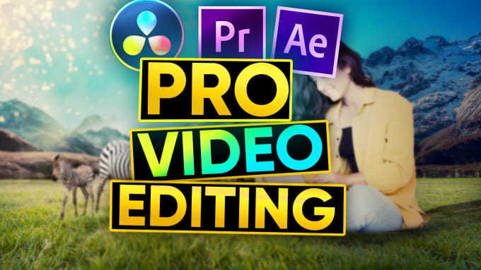 Gig Preview - Do professional motion graphics for your videos