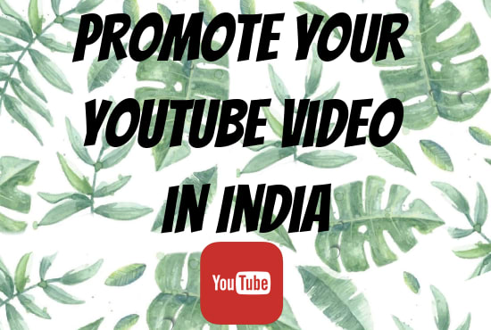 Gig Preview - Do professional video promotion in india