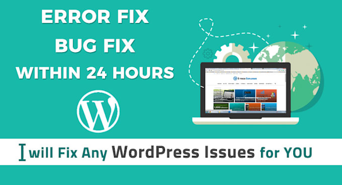 Gig Preview - Do 1 hour wordpress customization,maintenance,error fix etc