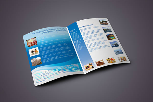 Gig Preview - Design amazing flyer or brochure