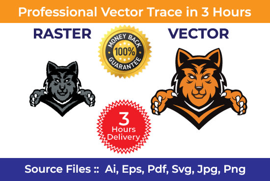 Gig Preview - Do tracing your logo to vector just in 3hrs