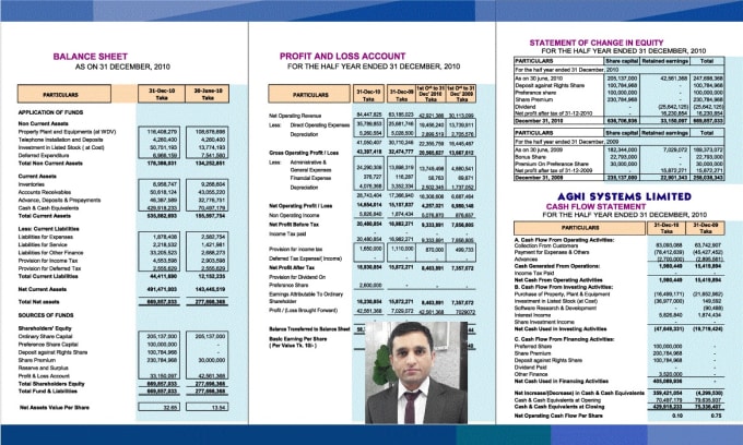 Gig Preview - Financial reports like balance sheet, cashflow, p and l