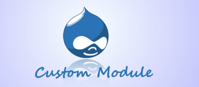 Gig Preview - Develop custom module or website in drupal