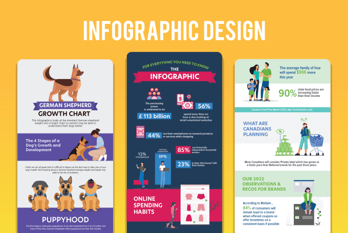 Gig Preview - Design professional infographic and illustration