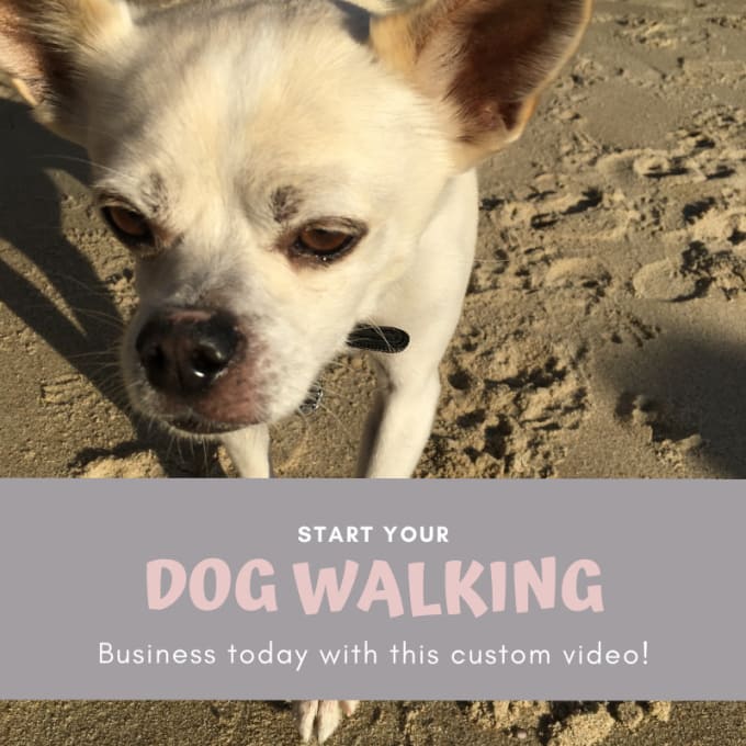 Gig Preview - Customize this video to promote your pet business