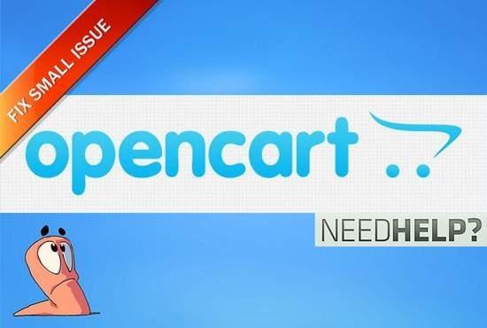 Gig Preview - Expertly install, fix, and customize your opencart store