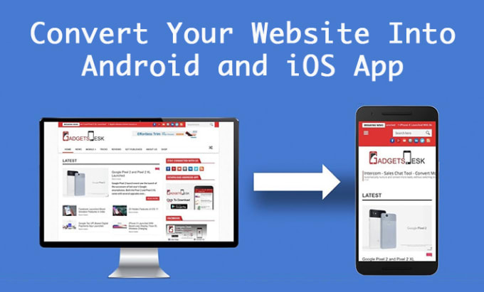 Gig Preview - Convert your website into android and IOS app