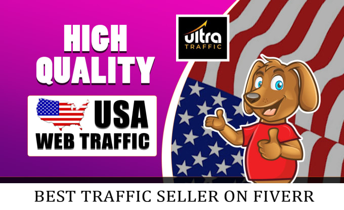 Gig Preview - Bring unlimited organic targeted USA web traffic