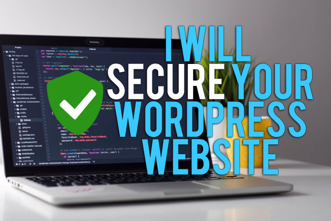 Gig Preview - Secure your wordpress website professionally 250 USD value