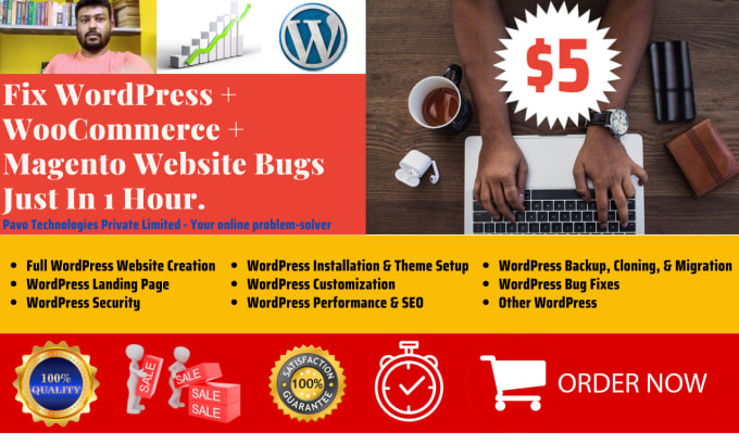 Gig Preview - Fix wordpress, woocommerce, and magento website bugs