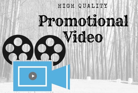 Gig Preview - Create high quality promotional video professionally