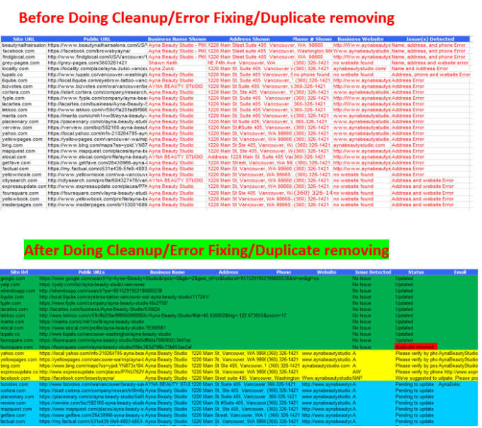 Gig Preview - Do citations cleanup, error fixing, duplicate removing