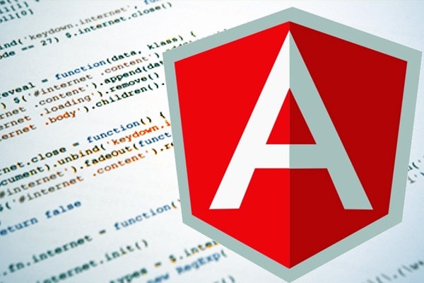 Gig Preview - Make angular 6 webapp