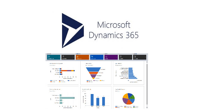 Gig Preview - Do anything related to dynamics CRM such as integration, add or remove field etc