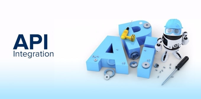 Gig Preview - Integrate API in website app API integration and development