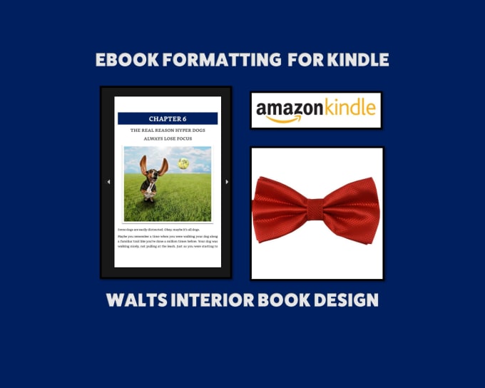 Gig Preview - Format your ebook for amazon KDP kindle with style