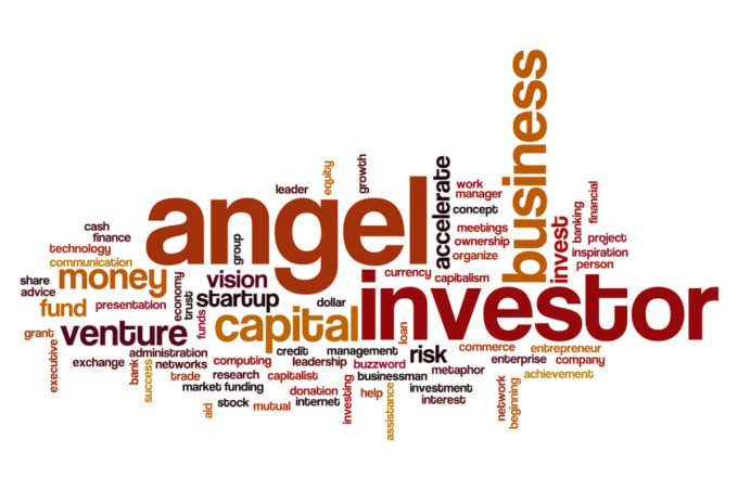 Gig Preview - Send list with 50 US angel investors