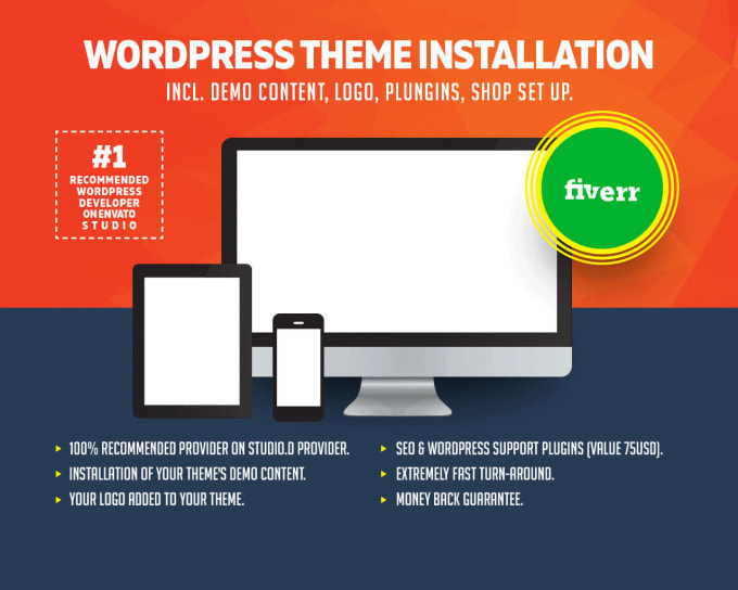 Gig Preview - Do wordpress theme install customization and demo import