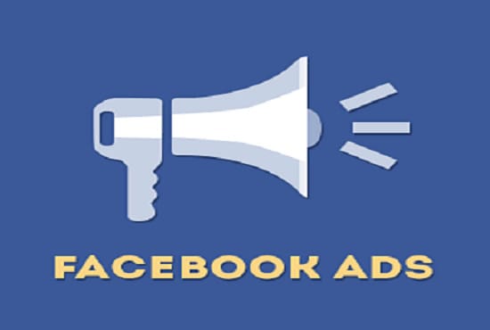 Gig Preview - Start to facebook ads and improve your   business